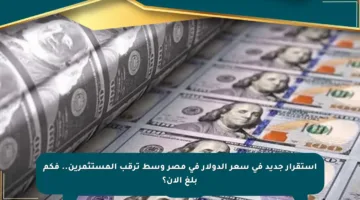 استقرار جديد في سعر الدولار في مصر وسط ترقب المستثمرين.. فكم بلغ الآن؟